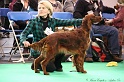 Crufts2011 243